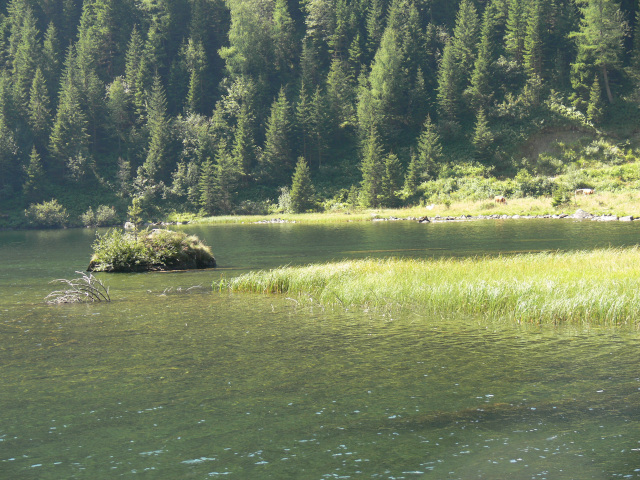 Riesachsee