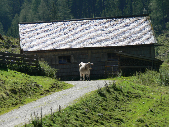 Chaloupka na Untertalstrae