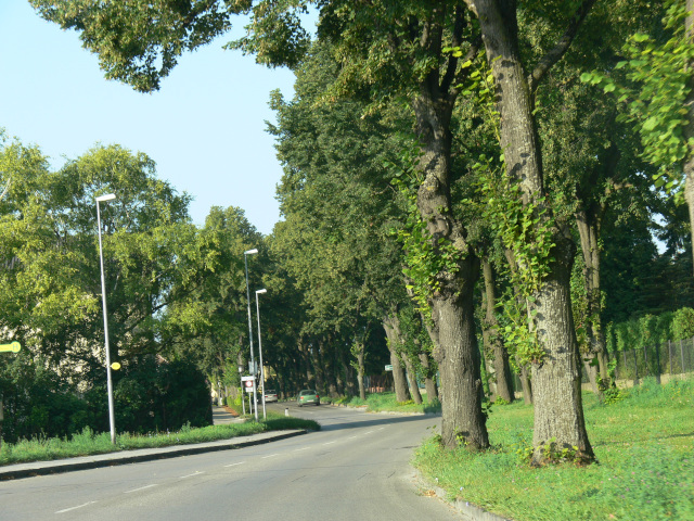 Stockerau, Ernstbrunnerstrae