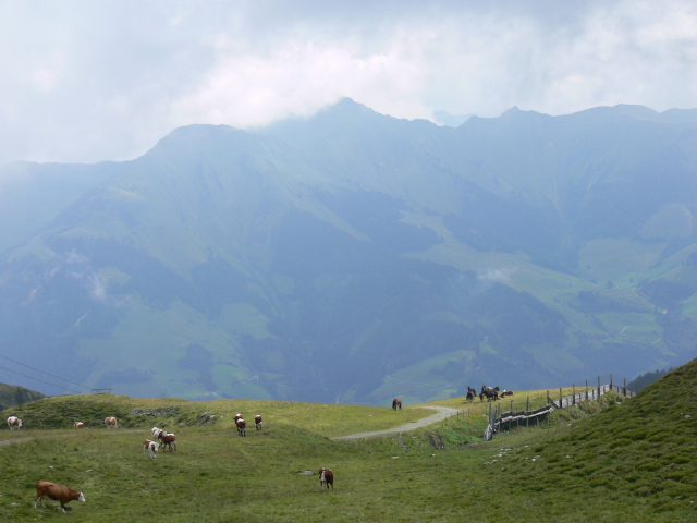 Grubereck, Bernkogel a Sladinkopf