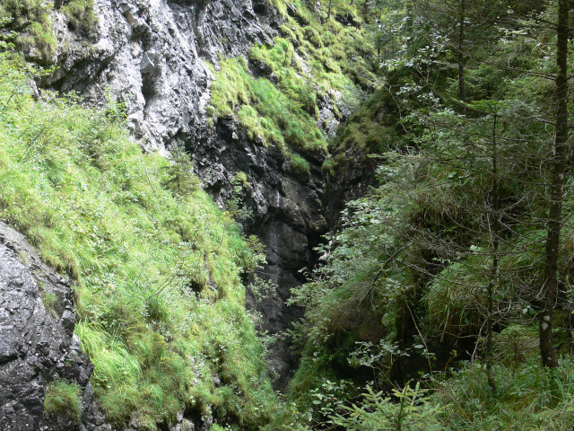 Vorderkaserklamm