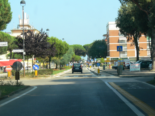 Viale dei Pini