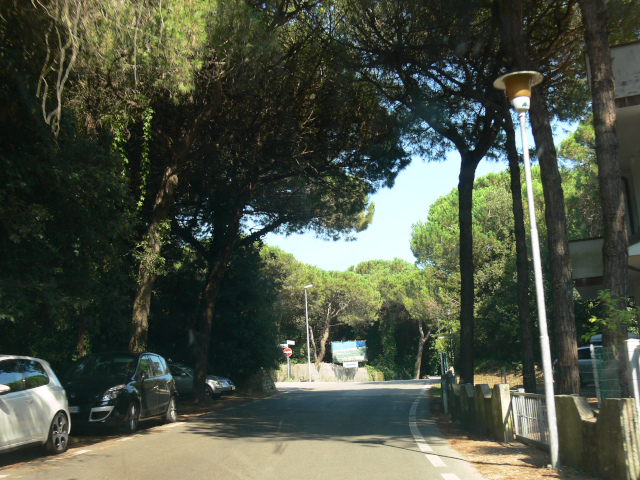 Via dei Salici