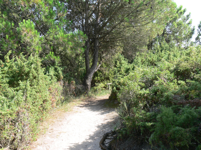 Cesta botanickou zahradou