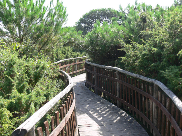 Botanical Garden in Rosolina Mare