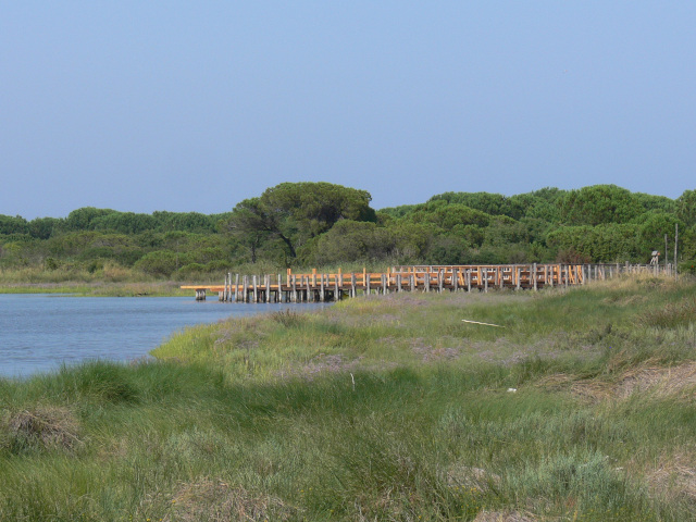 Lvka nad Lagunou Caleri