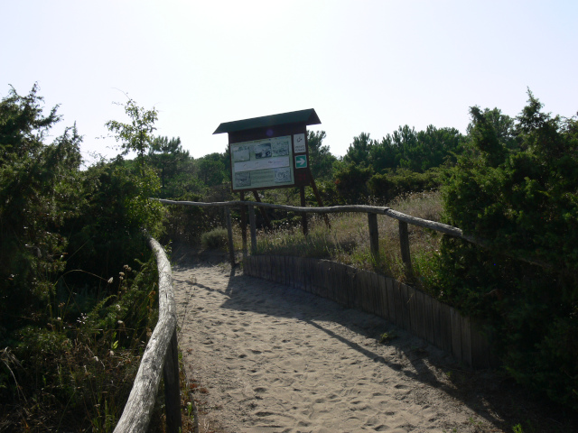 Cesta Botanickou zahradou