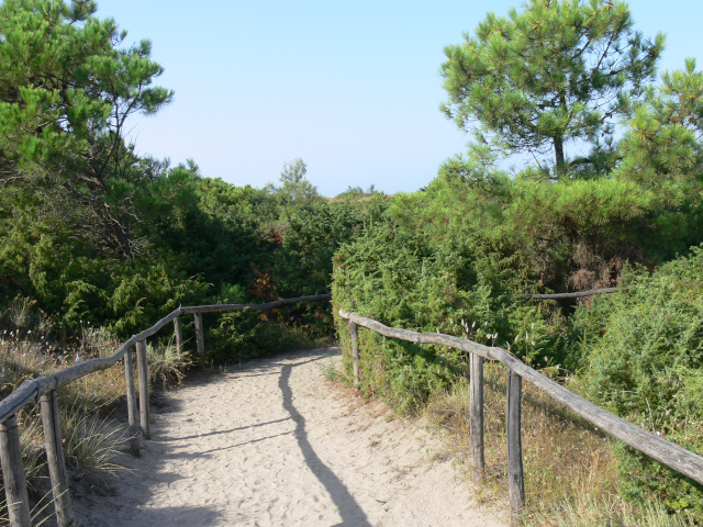 Cesta Botanickou zahradou