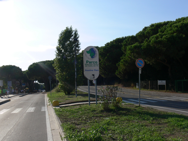 Viale dei Pini