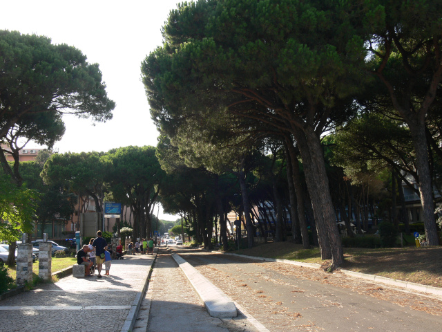 Viale dei Pini