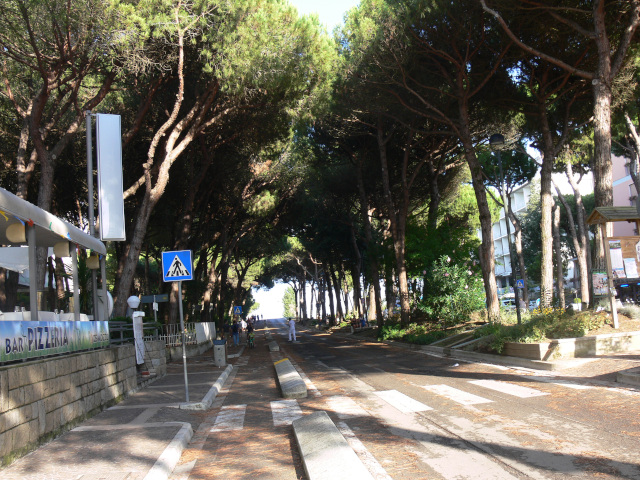 Viale dei Pini