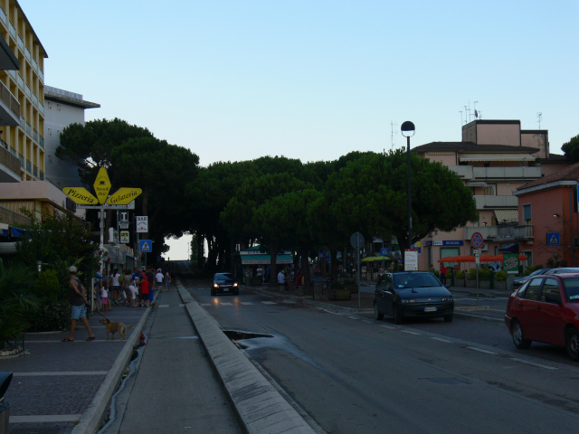 Viale dei Pini