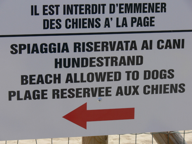 Směrovka ke psí pláži
