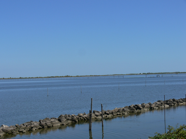 Laguna Vallona