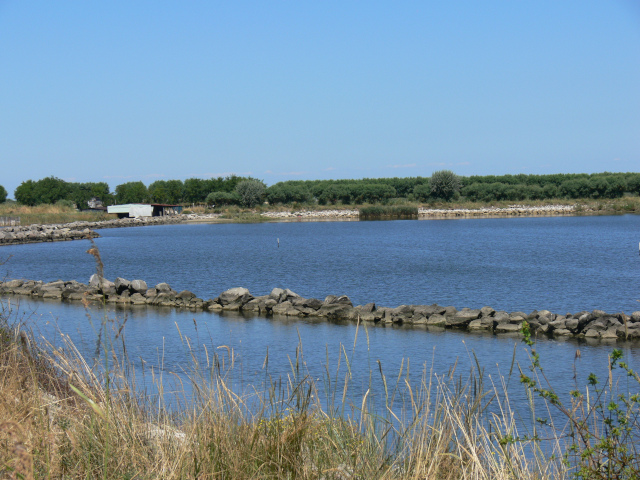 Laguna Vallona