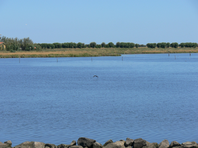 Laguna Vallona