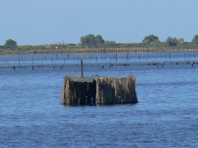 Laguna Vallona