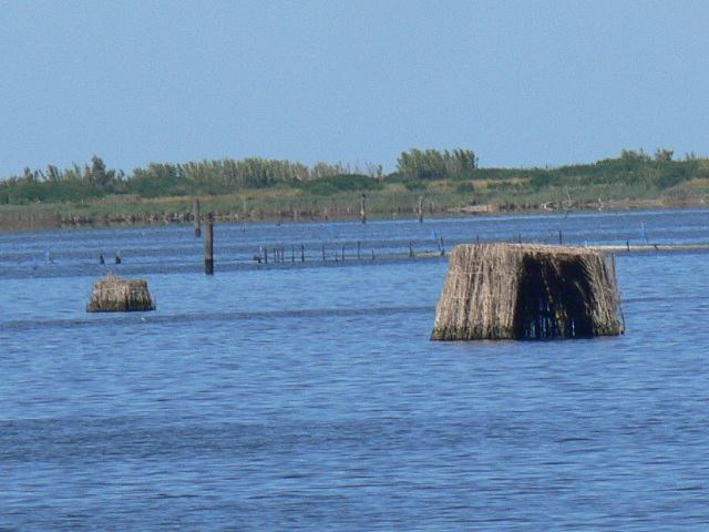 Laguna Vallona