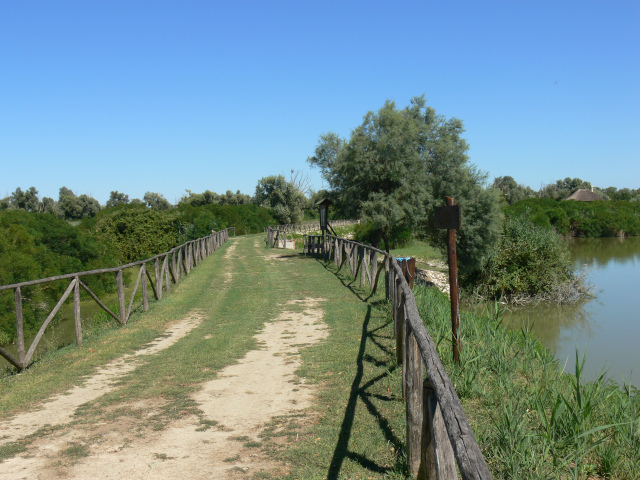 Cesta do Golena di Ca' Pisani