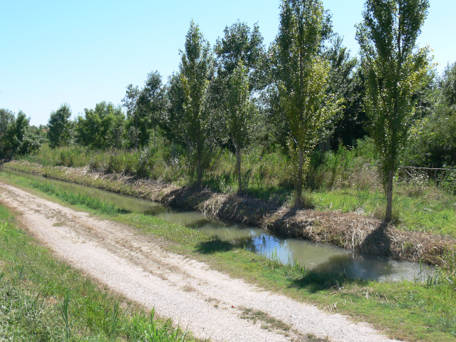 Canale Sbregavalle Sud