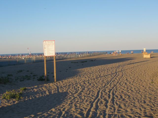 Beach in Rosolina Mare