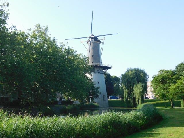 Mln De Drie Koornbloemen