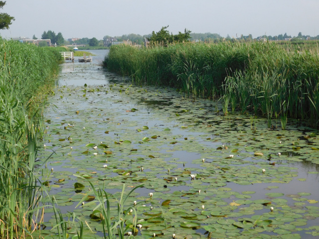 Nieuwe Waterschap