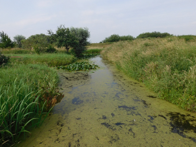 Oude Watering