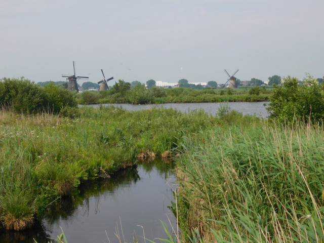 Mlny u Kinderdijk