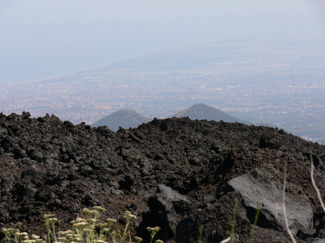 Catania