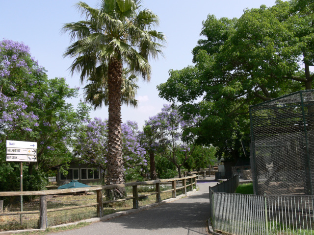 Parco zoo