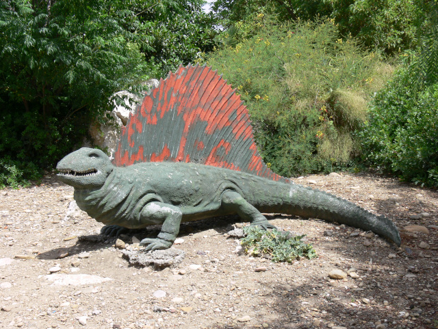 Dimetrodon