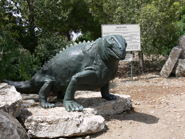 Moschops