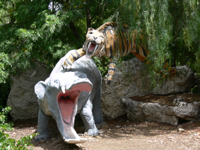 Platybelodon a Machairodus