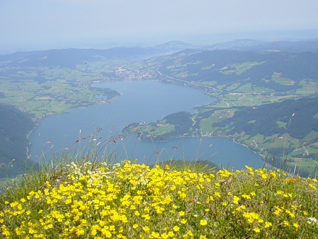 Mondsee