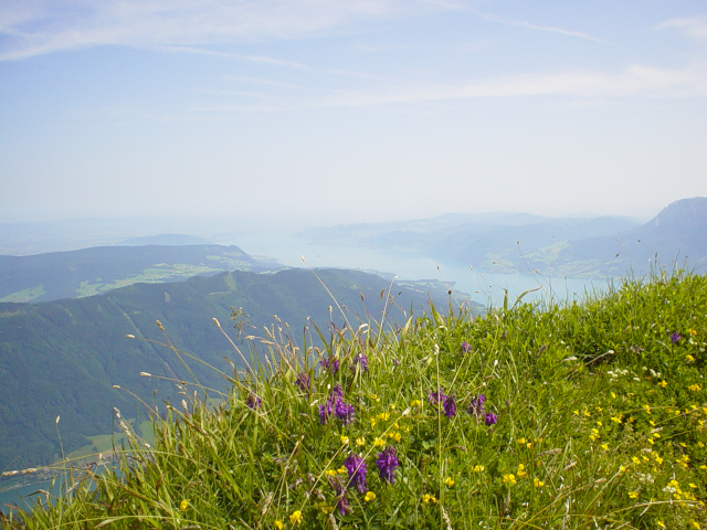 Attersee