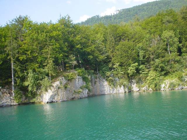 Pobe Wolfgangsee