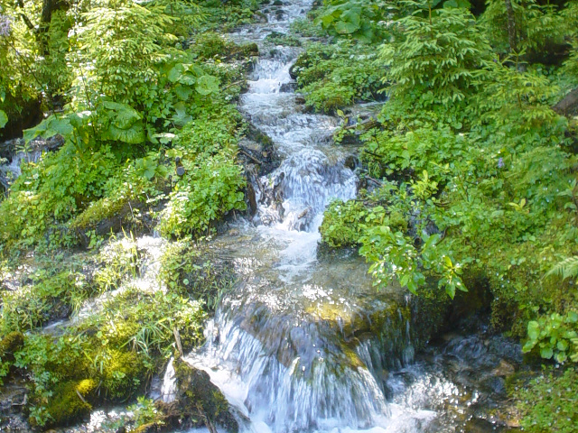 Ptok do Vorderer Gosausee