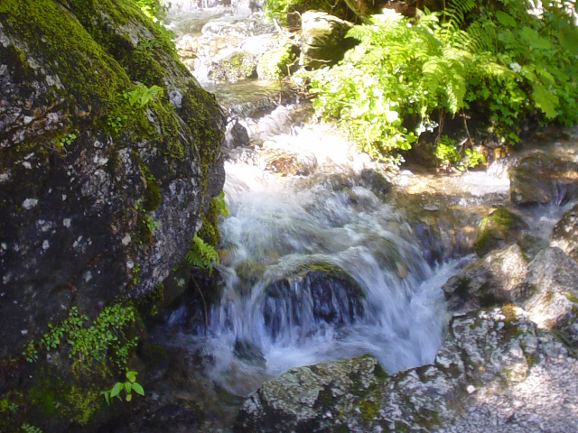 Ptok do Vorderer Gosausee