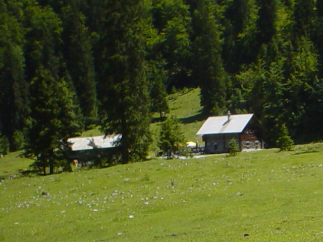 Hohe Holzmeister Alm