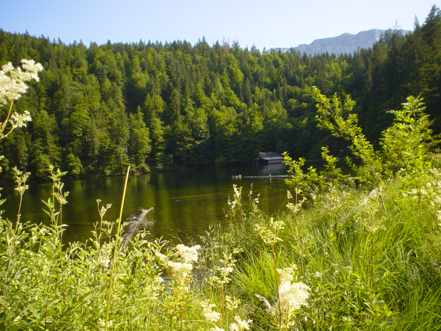 Toplitzsee