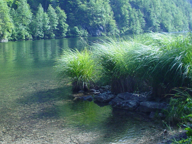 Toplitzsee