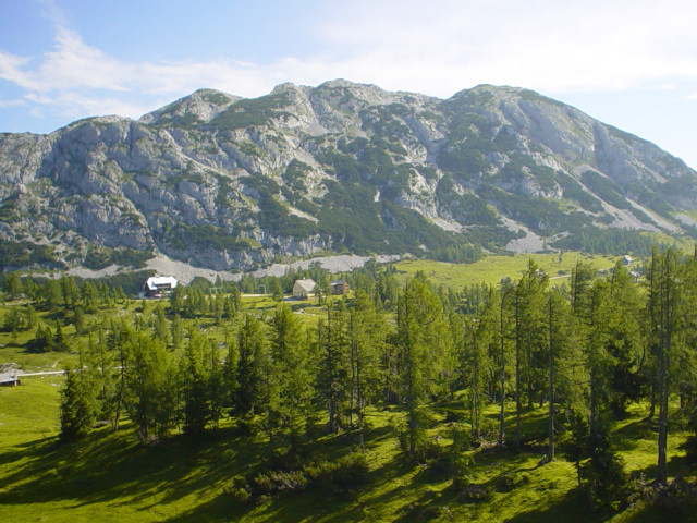 Traweng (1981m)