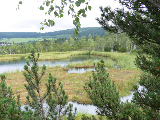 Chalupy Pond