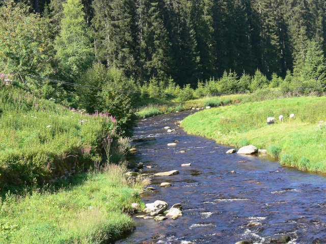 Roklansk potok