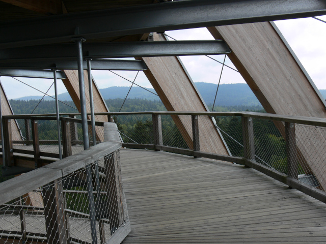 Tree Top Walkway