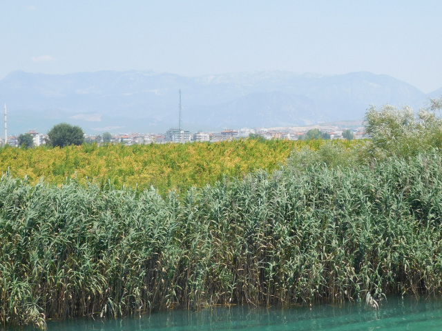 eka Manavgat a poho Taurus