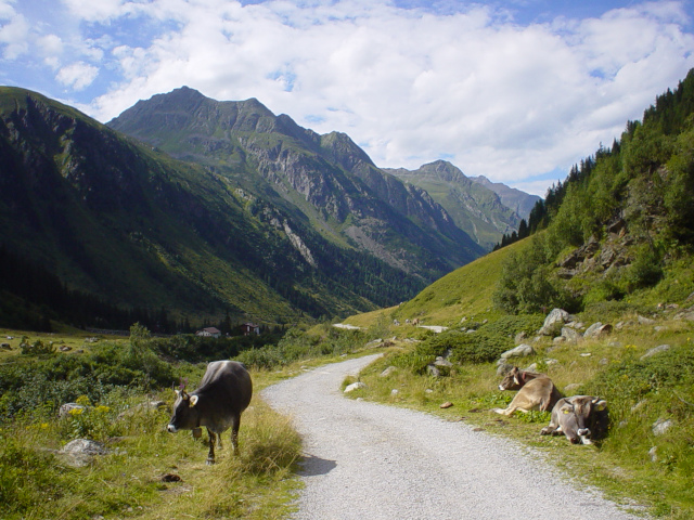 Zuragkogel a Brandkogel