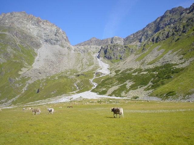 Seekarlesschneid (3208 m)