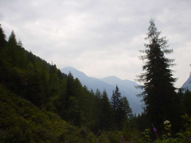 Kreuzjochspitze a Erster Karchkopf